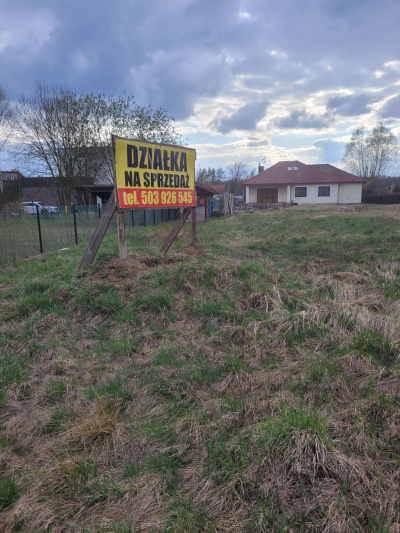 Krzysztof Wielgolaski -
mazowieckie Zdjęcie nr 8