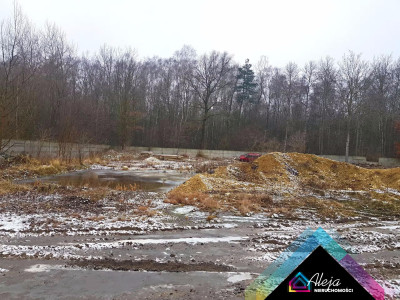 Działka budowlana ogrodzona 63złm2 26km od Cz-wy - Jacków  -
śląskie Zdjęcie nr 6
