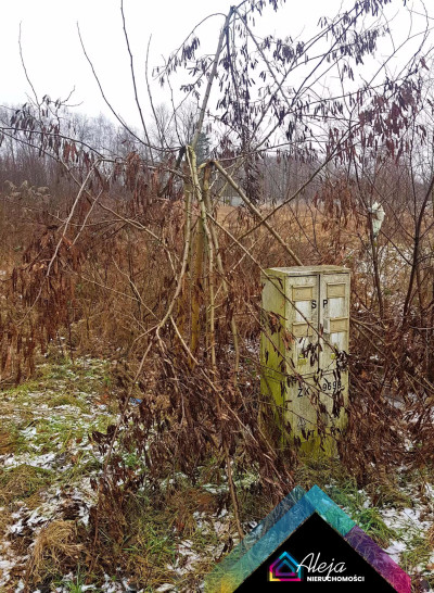 Działka budowlana ogrodzona 63złm2 26km od Cz-wy - Jacków  -
śląskie Zdjęcie nr 8
