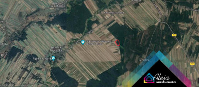 Zalesiona działka budowlana w cichej okolicy - Kamieńszczyzna  -
śląskie Zdjęcie nr 8
