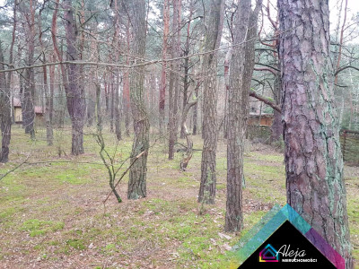Działka budowlana Władysławów nad Liswartą - Władysławów  -
śląskie Zdjęcie nr 2