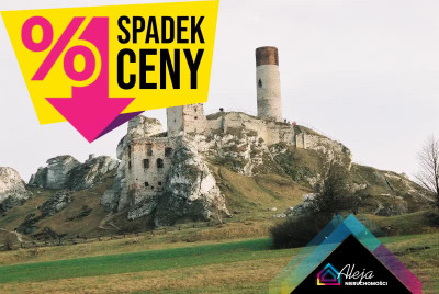Olsztyn działka na sprzedaż - Olsztyn  - śląskie