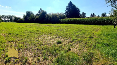 Działka mieszkaniowa inwestycyjna budowlana - Zemborzyce  - lubelskie