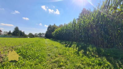 Działka mieszkaniowa inwestycyjna budowlana - Zemborzyce  -
lubelskie Zdjęcie nr 2