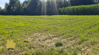 Działka mieszkaniowa inwestycyjna budowlana - Zemborzyce  -
lubelskie Zdjęcie nr 7