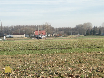 Duża działka Radawiec Mały WZ - Radawiec Mały  -
lubelskie Zdjęcie nr 3