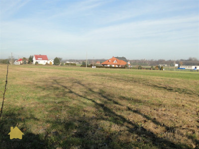 Duża działka Radawiec Mały WZ - Radawiec Mały  -
lubelskie Zdjęcie nr 4