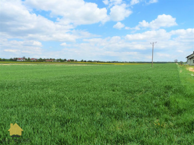 Działka na sprzedaż - Jabłonna Pierwsza - Jabłonna Pierwsza  -
lubelskie Zdjęcie nr 4