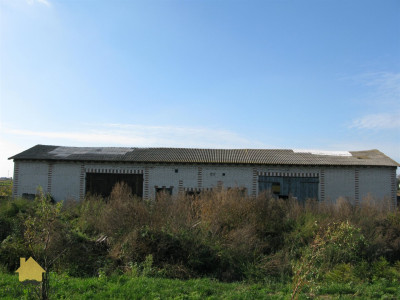 Działka  - Jastków  -
lubelskie Zdjęcie nr 2