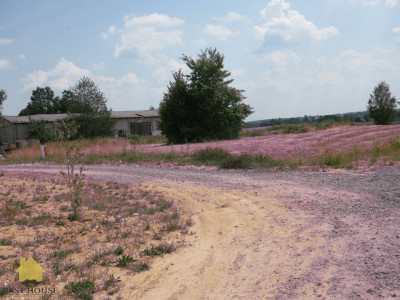 Działka  - Jastków  -
lubelskie Zdjęcie nr 9