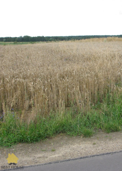 Działka budowlana - Siostrzytów  -
lubelskie Zdjęcie nr 3