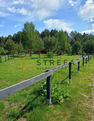 Działki 3036 arów  Kruszewo gm Goworowo  Natura 2000 - Kruszewo  -
mazowieckie Zdjęcie nr 11