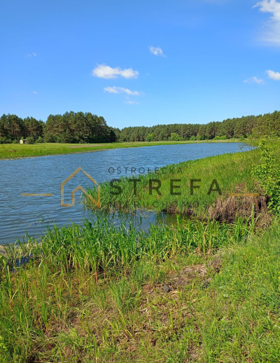 Działki 3036 arów  Kruszewo gm Goworowo  Natura 2000 - Kruszewo  -
mazowieckie Zdjęcie nr 2