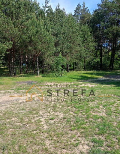 Działki 3036 arów  Kruszewo gm Goworowo  Natura 2000 - Kruszewo  -
mazowieckie Zdjęcie nr 7