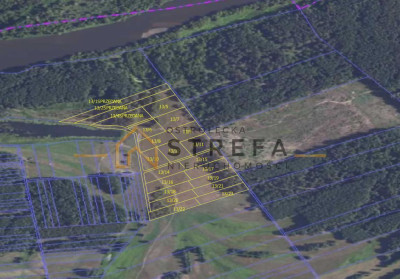 Działki 3036 arów  Kruszewo gm Goworowo  Natura 2000 - Kruszewo  -
mazowieckie Zdjęcie nr 8