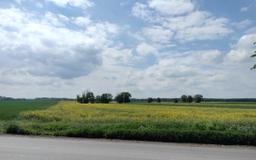 TEREN INWESTYCYJNY 5,26 ha. PRODUKCJA-USŁUGI -BTS-PV.  Przy S8 Węzeł Wieluń. -
łódzkie Zdjęcie nr 4