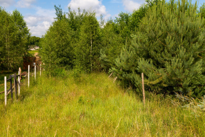 DUŻA DZIAŁKA Budowlana 6835 m2 z projektem i pozwoleniem na budowę -
zachodniopomorskie Zdjęcie nr 6