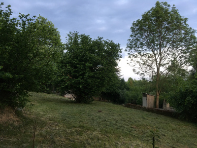 Działka z duszą i widokiem, dojrzały ogród blisko Krakowa -
Małopolskie Zdjęcie nr 13