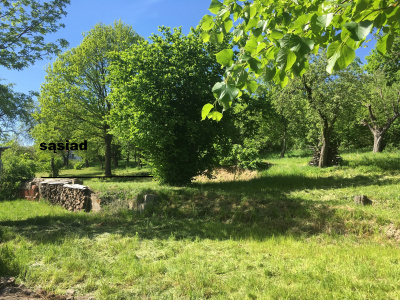 Działka z duszą i widokiem, dojrzały ogród blisko Krakowa -
Małopolskie Zdjęcie nr 7