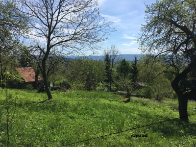 Działka z duszą i widokiem, dojrzały ogród blisko Krakowa -
Małopolskie Zdjęcie nr 11