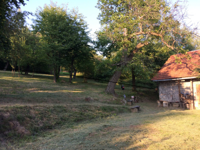 Działka z duszą i widokiem, dojrzały ogród blisko Krakowa -
Małopolskie Zdjęcie nr 3