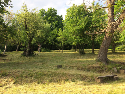 Działka z duszą i widokiem, dojrzały ogród blisko Krakowa -
Małopolskie Zdjęcie nr 5
