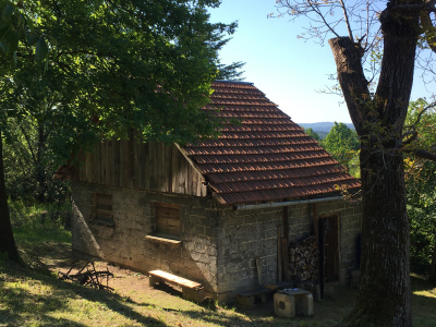 Działka z duszą i widokiem, dojrzały ogród blisko Krakowa -
Małopolskie Zdjęcie nr 15