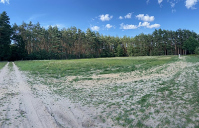 Działka budowlana w otoczeniu lasu -
wielkopolskie Zdjęcie nr 3