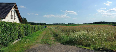 Na sprzedaż działka budowlana - Godzięcin -
dolnośląskie Zdjęcie nr 4