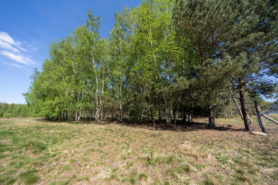 Na sprzedaż działka budowlana - Uskorz Wielki -
dolnośląskie Zdjęcie nr 10