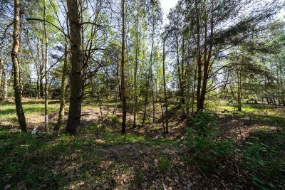 Na sprzedaż działka budowlana - Uskorz Wielki -
dolnośląskie Zdjęcie nr 2