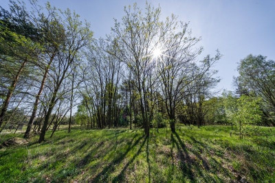 Na sprzedaż działka budowlana - Uskorz Wielki -
dolnośląskie Zdjęcie nr 3