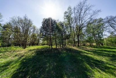 Na sprzedaż działka budowlana - Uskorz Wielki -
dolnośląskie Zdjęcie nr 4
