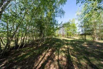 Na sprzedaż działka budowlana - Uskorz Wielki -
dolnośląskie Zdjęcie nr 5