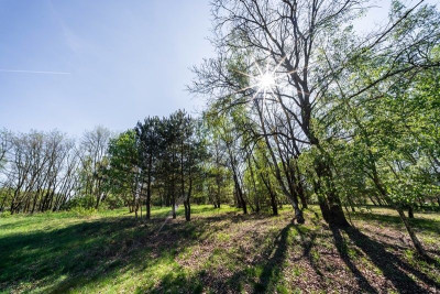 Na sprzedaż działka budowlana - Uskorz Wielki -
dolnośląskie Zdjęcie nr 7