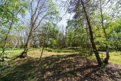 Na sprzedaż działka budowlana - Uskorz Wielki -
dolnośląskie Zdjęcie nr 8