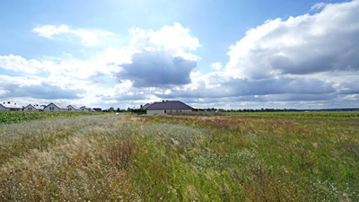 Działka szeroki front 60m PIĘKNY WIDOK po HORYZONT -
wielkopolskie Zdjęcie nr 3