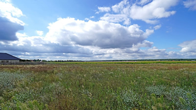 Działka szeroki front 60m PIĘKNY WIDOK po HORYZONT -
wielkopolskie Zdjęcie nr 4