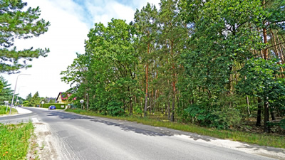 Działka z lasem! MPZP, klimatyczna okolica -
wielkopolskie Zdjęcie nr 6