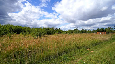 Działka  -
wielkopolskie Zdjęcie nr 2