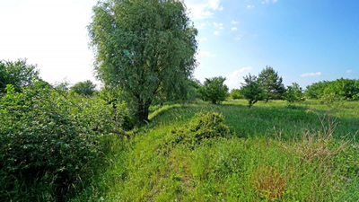 Działka budowlana z MPZP, front 24m, głębokość 50m -
wielkopolskie Zdjęcie nr 3