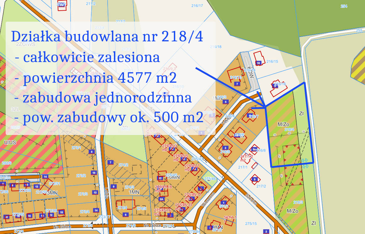 Działka z lasem! MPZP, klimatyczna okolica -
wielkopolskie Zdjęcie nr 1