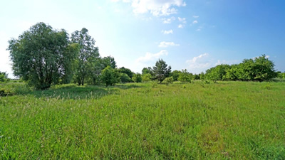 Działka budowlana z MPZP, front 24m, głębokość 50m -
wielkopolskie Zdjęcie nr 2