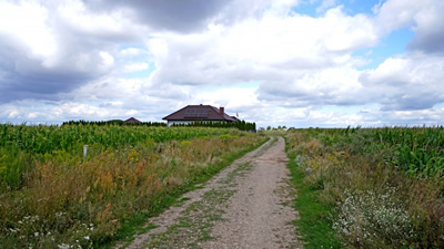 Działka szeroki front 60m PIĘKNY WIDOK po HORYZONT -
wielkopolskie Zdjęcie nr 6
