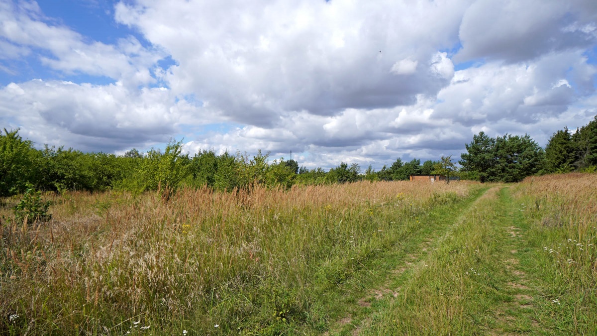 Działka  -
wielkopolskie Zdjęcie nr 1