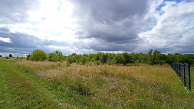 Działka  -
wielkopolskie Zdjęcie nr 3