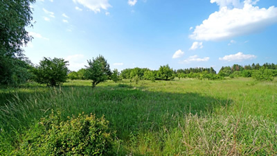 Działka budowlana z MPZP, front 24m, głębokość 50m -
wielkopolskie Zdjęcie nr 4