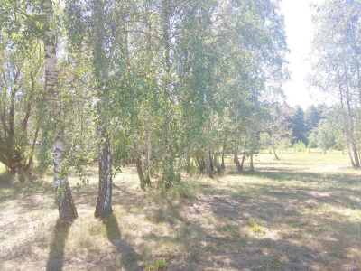 Na sprzedaż duża działka budowlana przy  Kampinosie -
Mazowieckie Zdjęcie nr 5