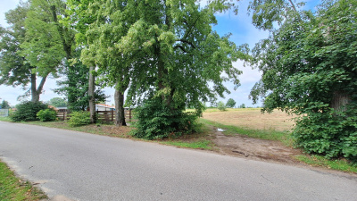 Sprzedam działkę niedaleko jeziora -
warmińsko-mazurskie Zdjęcie nr 3