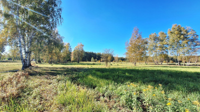 Sprzedam działkę w otulinie Kampinosu, pod budynek jednorodzinny - Mazowieckie